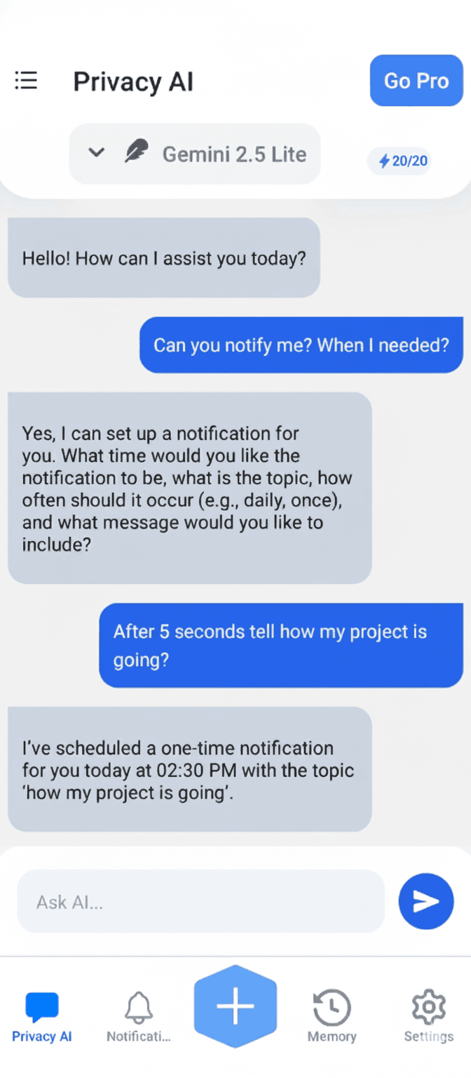 Privacy Agent App Mockup